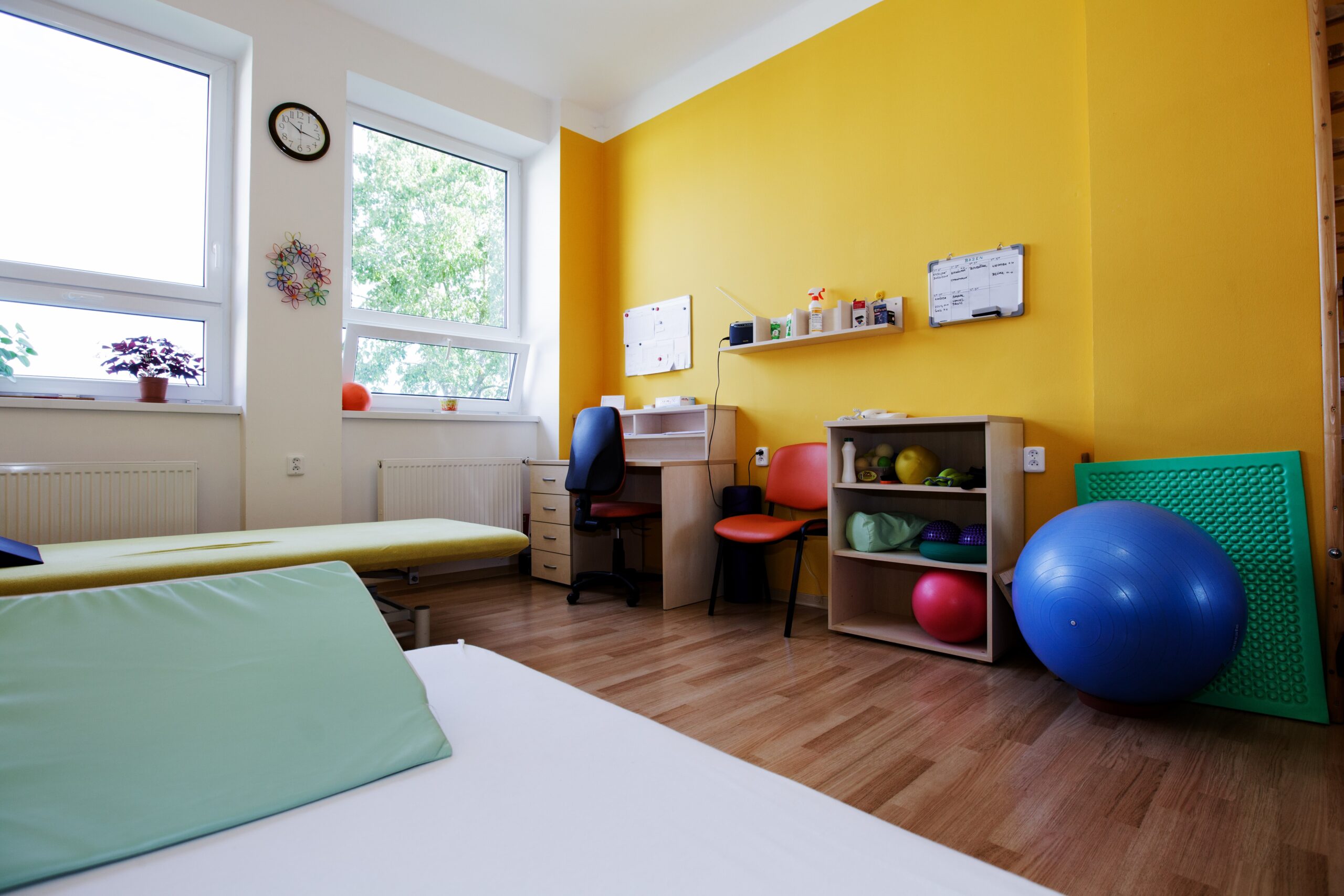 Rehabilitační ústav pro cévní choroby mozkové Rehabilitační ústav pro cévní choroby mozkové